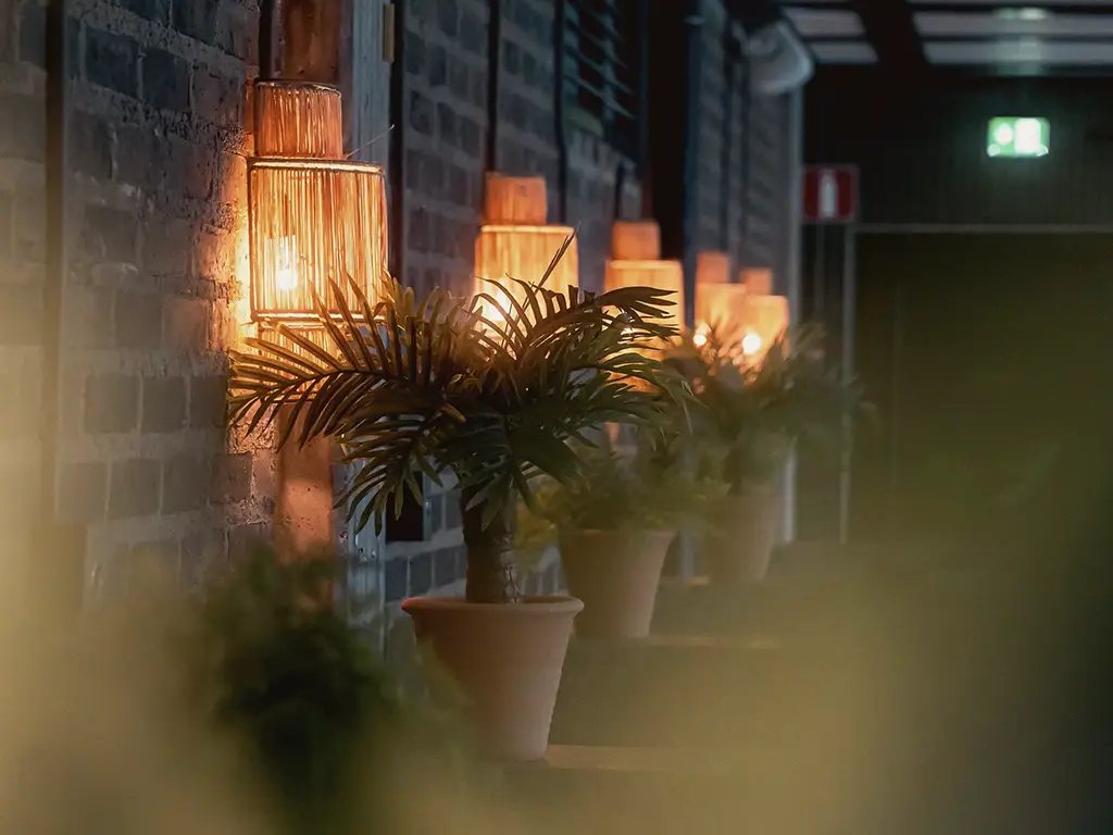 Vägglampor och gröna växter längs en tegelvägg på Coco Beach Club.